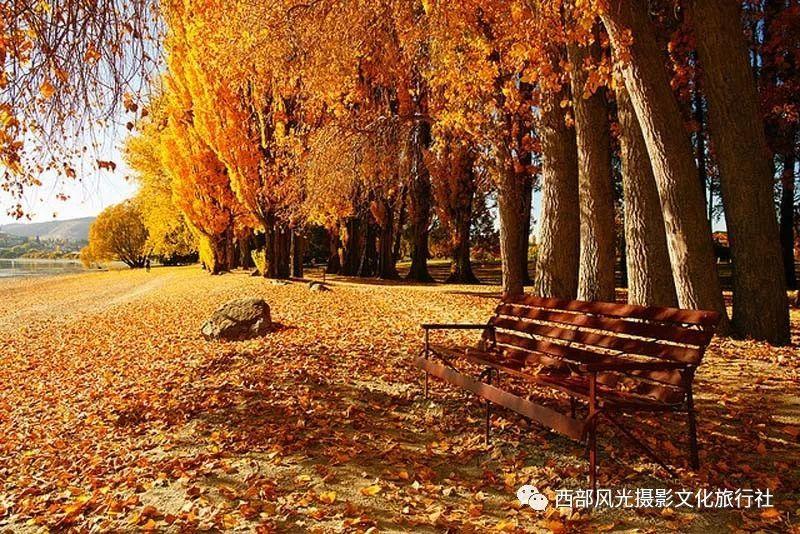 内蒙古呼和浩特、赤峰等地换电站无法满足新能源营运车辆需求  如何打通换电“最后一公里”？