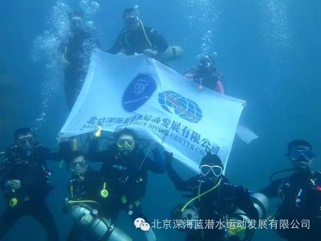 力量钻石：财务总监童越增持2.25万股，占比0.0088%