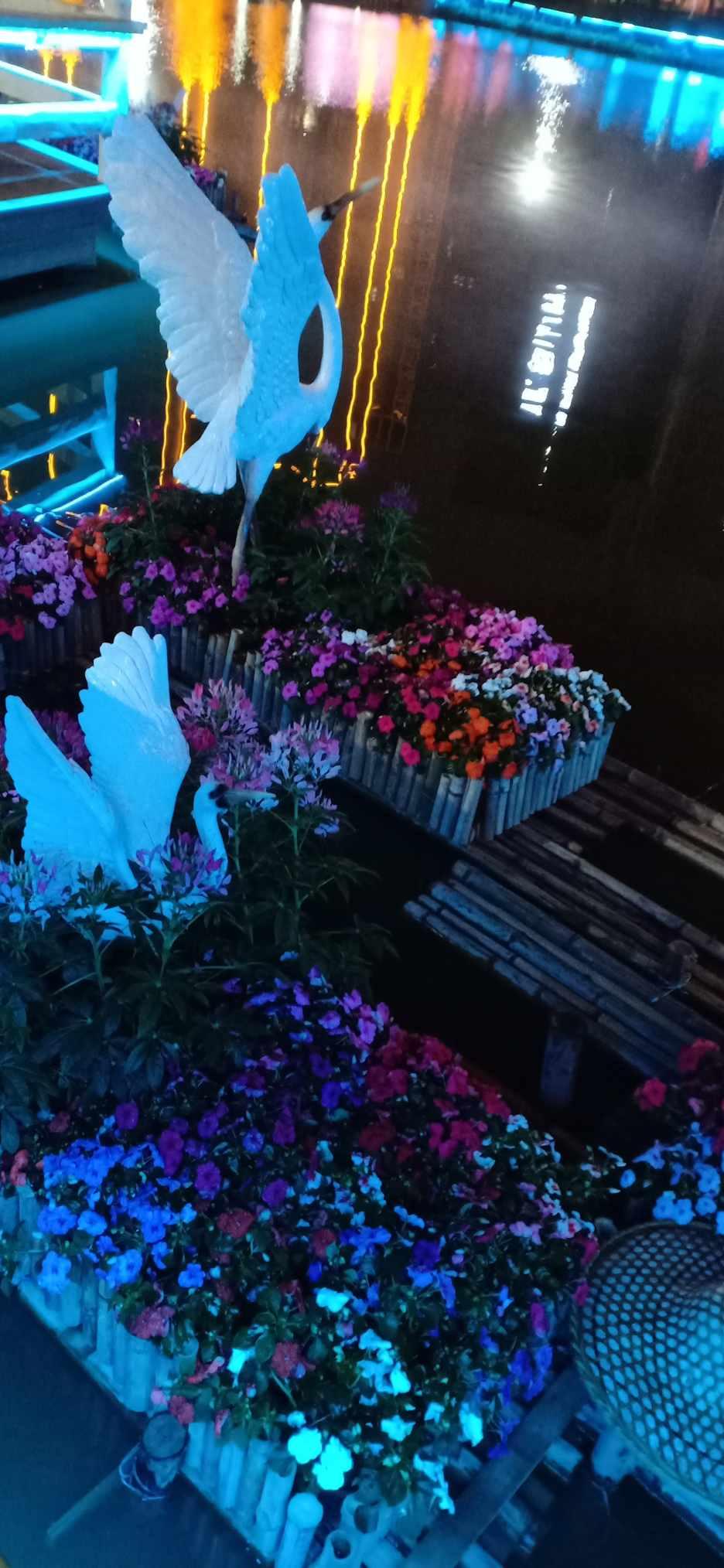 逗小猴开心系列199
